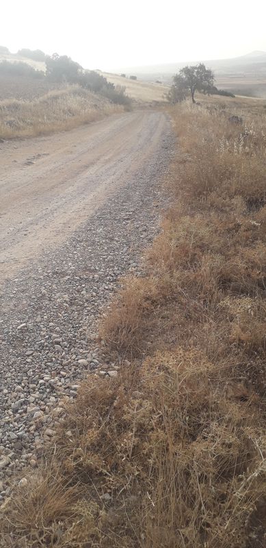 De Calle General Primo de Rivera 24, Consuegra a Calle General Primo de Rivera 26, Consuegra