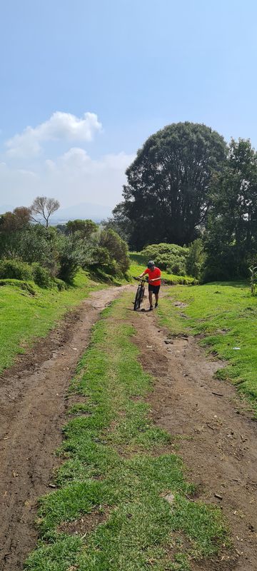 la cabaña del oso