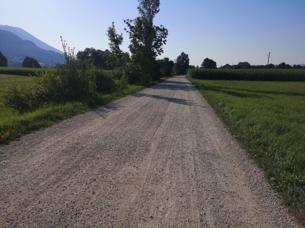 ŠobecVrbaBrezje