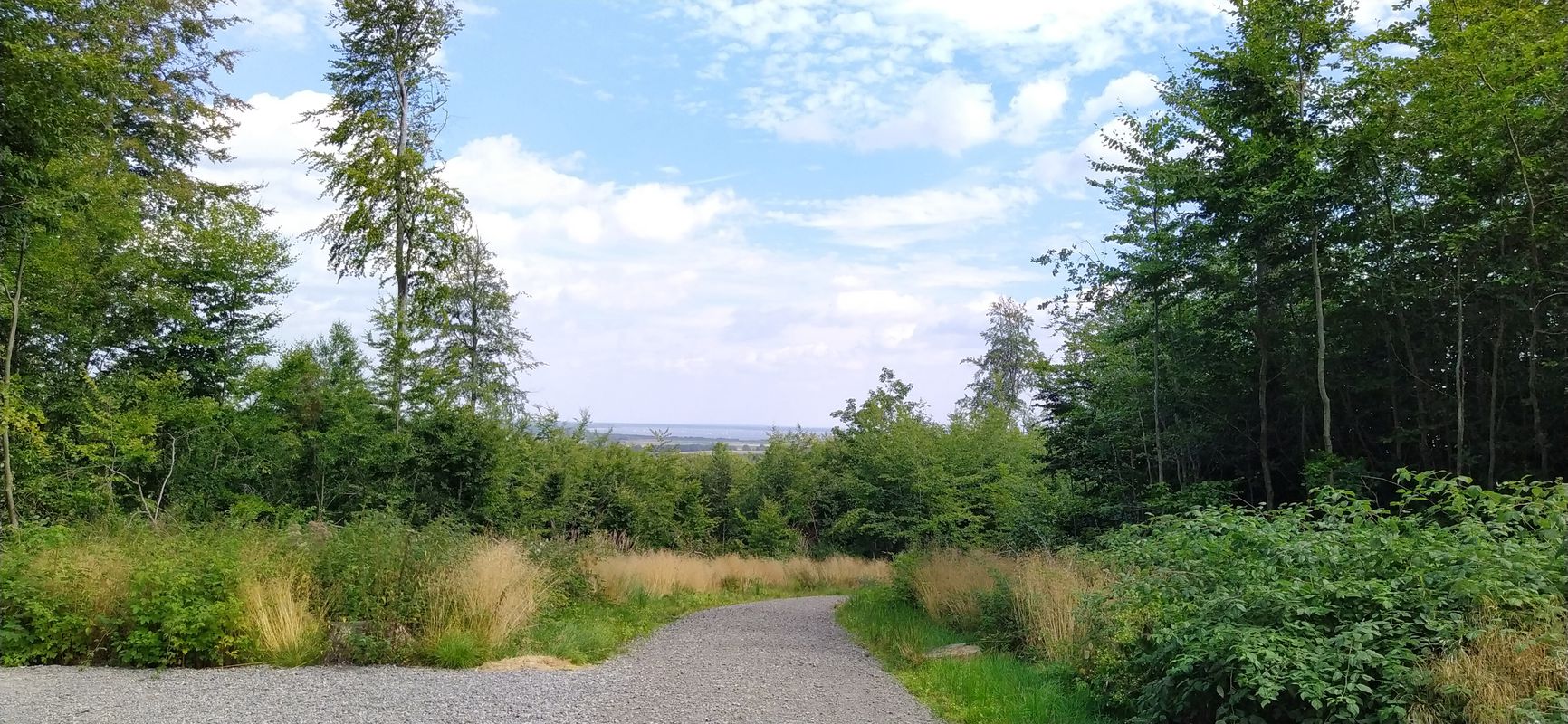 Amtland 14, Rehburg-Loccum nach Linnemannweg 5, Rehburg-Loccum