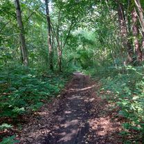 Foto 7 del percorso Bikemap "От проспект Янки Купалы 35, Гродно до Vesennyaya 2, Grodno"
