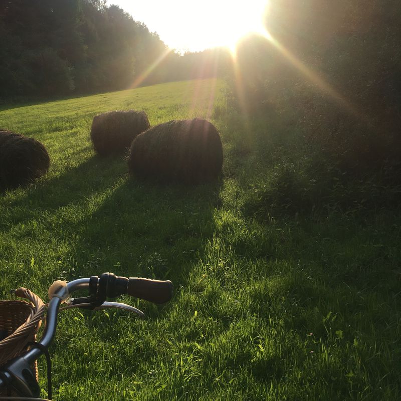 Strońska 1, Bemowo do Strońska 1, Bemowo