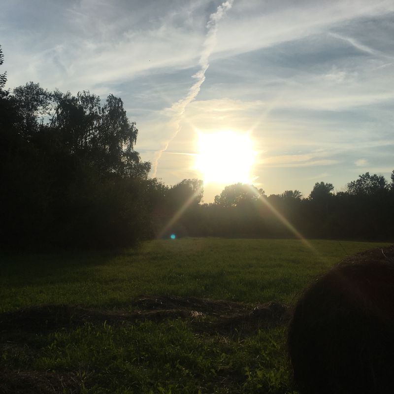 Strońska 1, Bemowo do Strońska 1, Bemowo