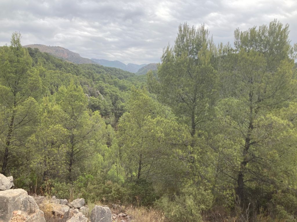 De Carrer Espigol 17, Paterna a Carrer Espigol 17, Paterna