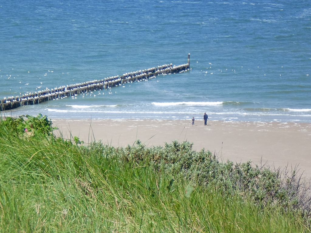 NL175: Rund um die zeeländische Riviera