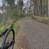 De Marqueza de Solanda, Quito a Calle D