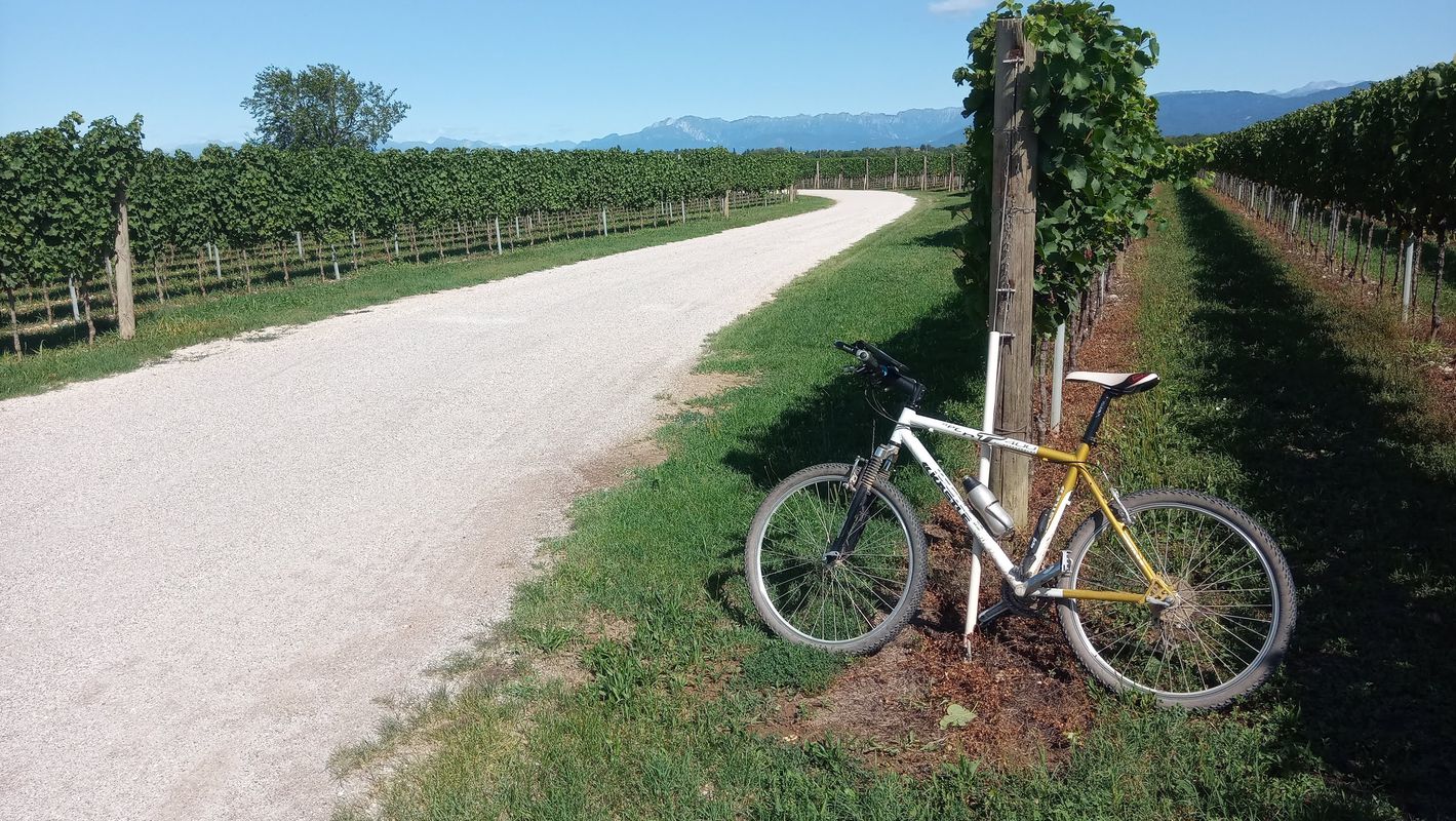Friuli fra i Colli Orientali