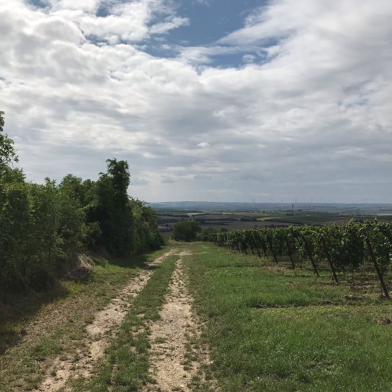 Herrnbaumgarten-Tennauwaldrunde