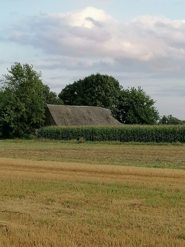 Młynarze Rolna - Ogony - Nad Narwią - Sieluń - Młynarze Rolna