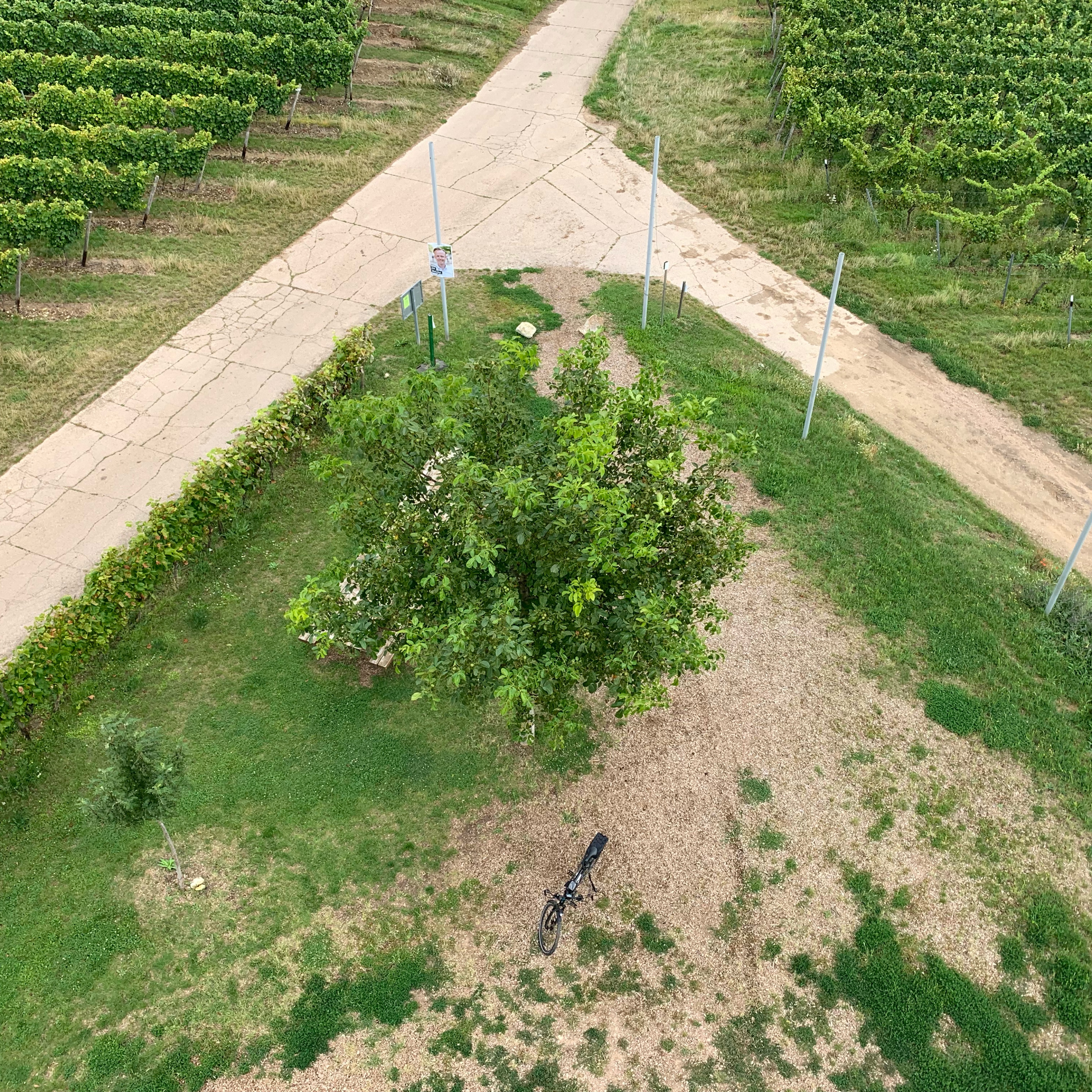 In der Mühlgewann 19, Friesenheim nach Kisselberg 2, Bingen am Rhein
