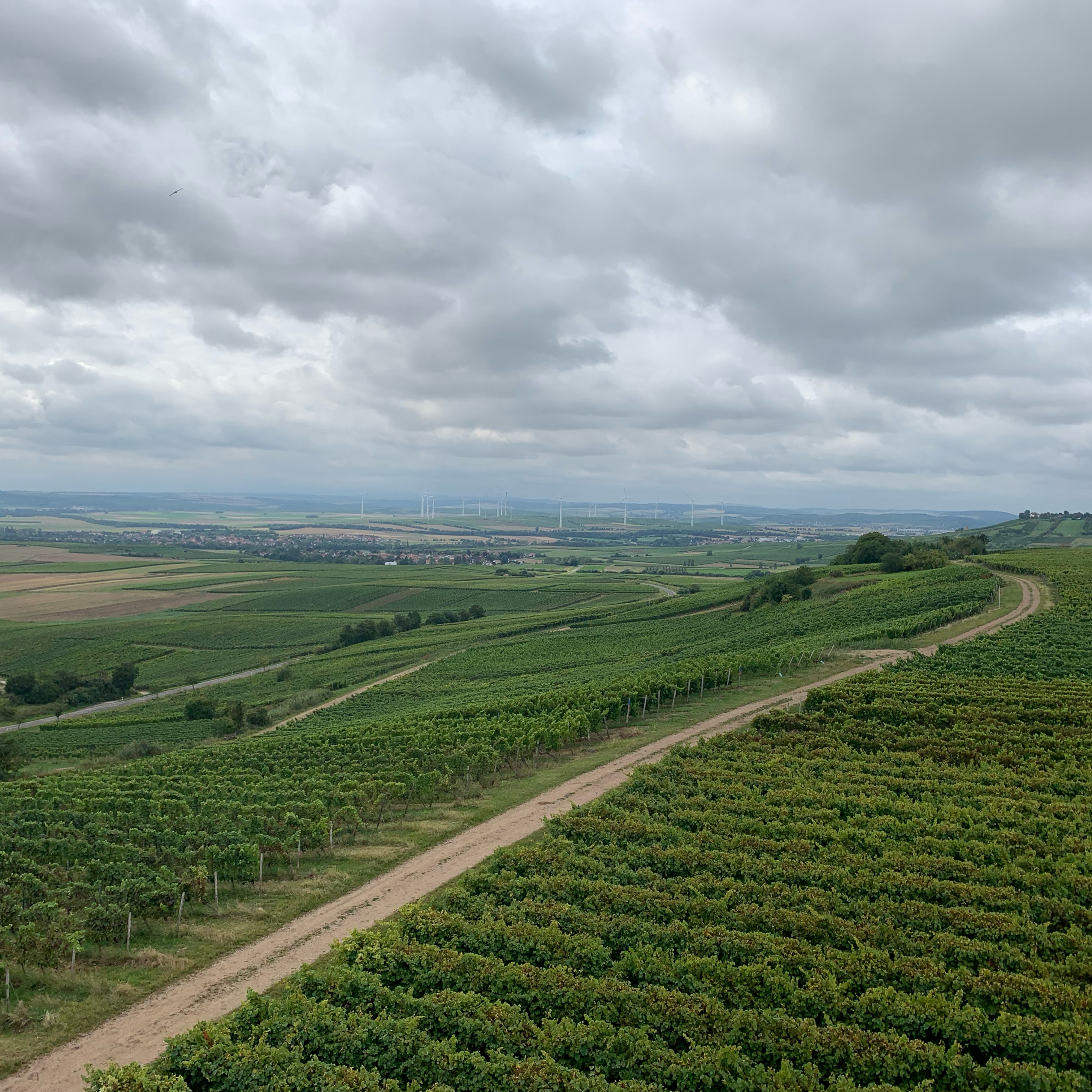 In der Mühlgewann 19, Friesenheim nach Kisselberg 2, Bingen am Rhein