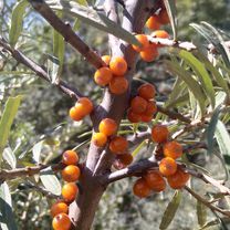 Photo 8 of the Bikemap route "2021.aug.13-200km" Photo 8 of the Bikemap route "2021.aug.13-200km"