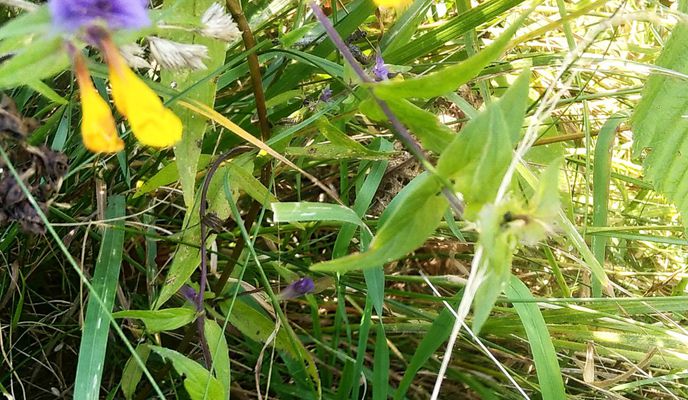 Photo 1 of the Bikemap route "2021.aug.13-200km" Photo 1 of the Bikemap route "2021.aug.13-200km"