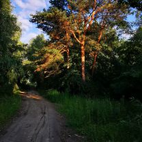 От вулиця Щаслива 38, Софіївська Борщагівка до вулиця Щаслива 38, Софіївська Борщагівка
