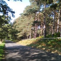 Wrest over the Crest