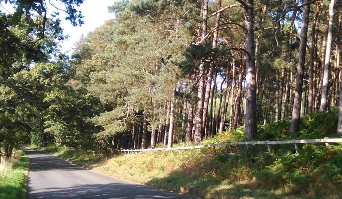 Foto 1 der Bikemap-Route "Wrest over the Crest"