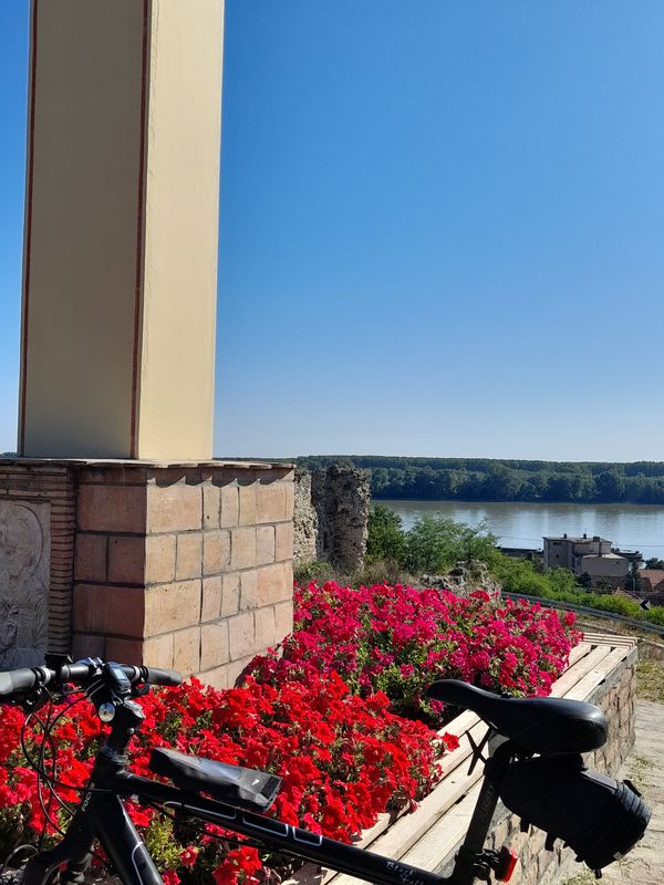 Сремска 83, Инђија to Сремска 83, Инђија