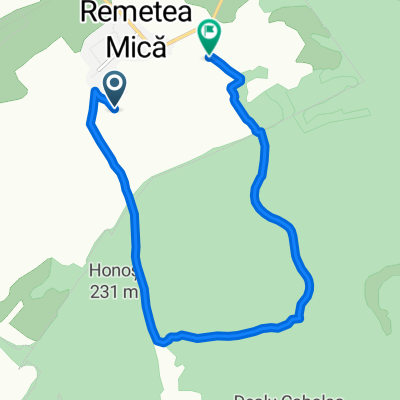 Remetea mica Ocol Padure