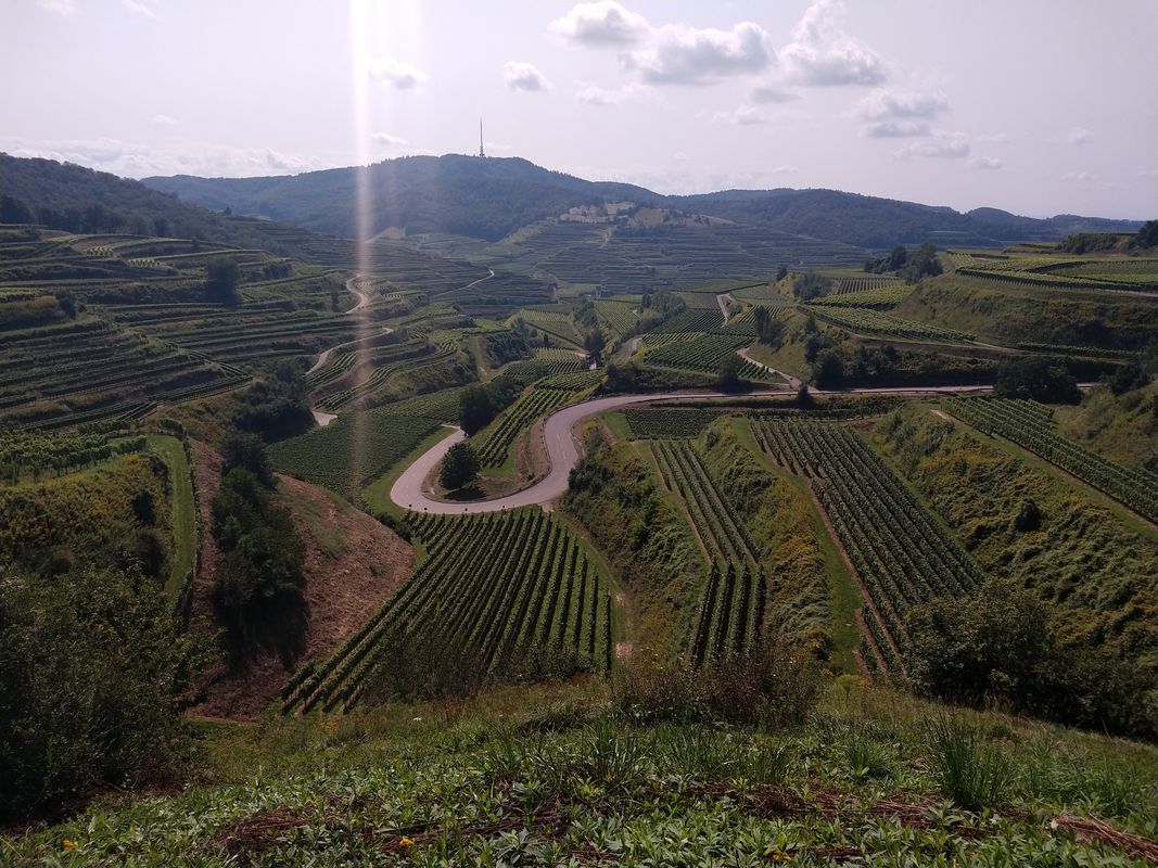 Kaiserstuhl 1