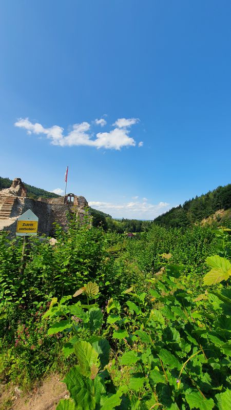 Höhenweg Diersburg