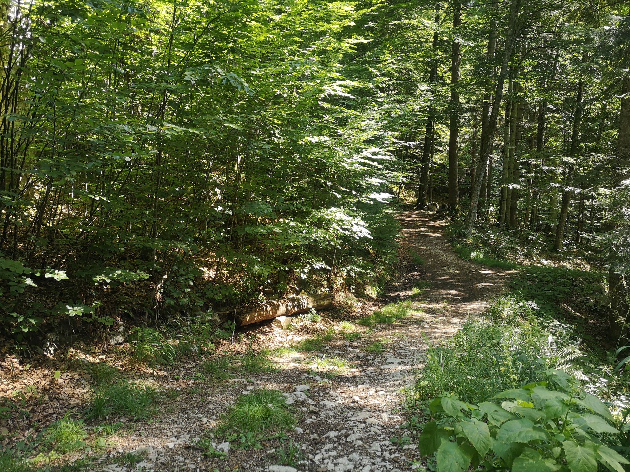 Kočevje Mtb center
