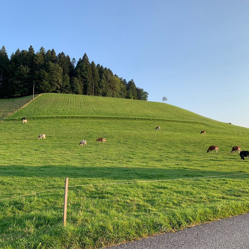 Herzschlaufe 899 Burgdorf-Mänziwilegg-Burgdorf