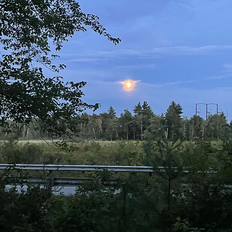 NEPI to Epping via RRT (8.20.21)
