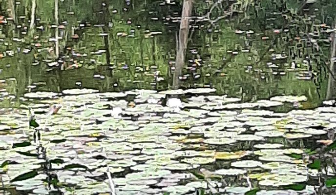 Foto 2 der Bikemap-Route "От Steyler Straße 156, Nettetal до Steyler Straße 156, Nettetal"