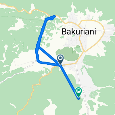 Borjomi-Bakuriani-Akhalkalaki 88, ბაკურიანი to დ. აღმაშენებლის ქუჩა, ბაკურიანი