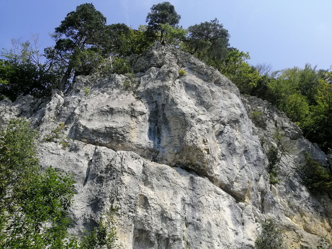 Weissensteinstrasse 187, Oberdorf nach Weissensteinstrasse 187, Oberdorf