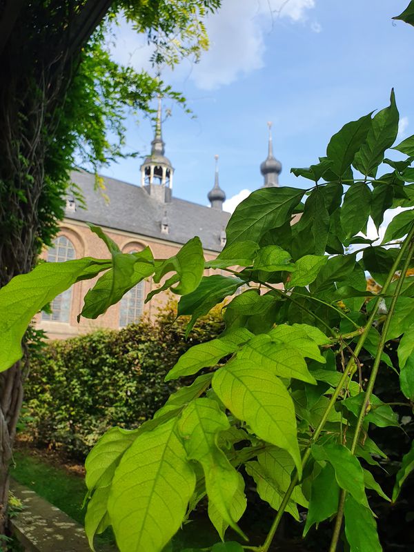 Abteiplatz 10C, Kamp-Lintfort nach Niederrheinallee 75, Neukirchen-Vluyn