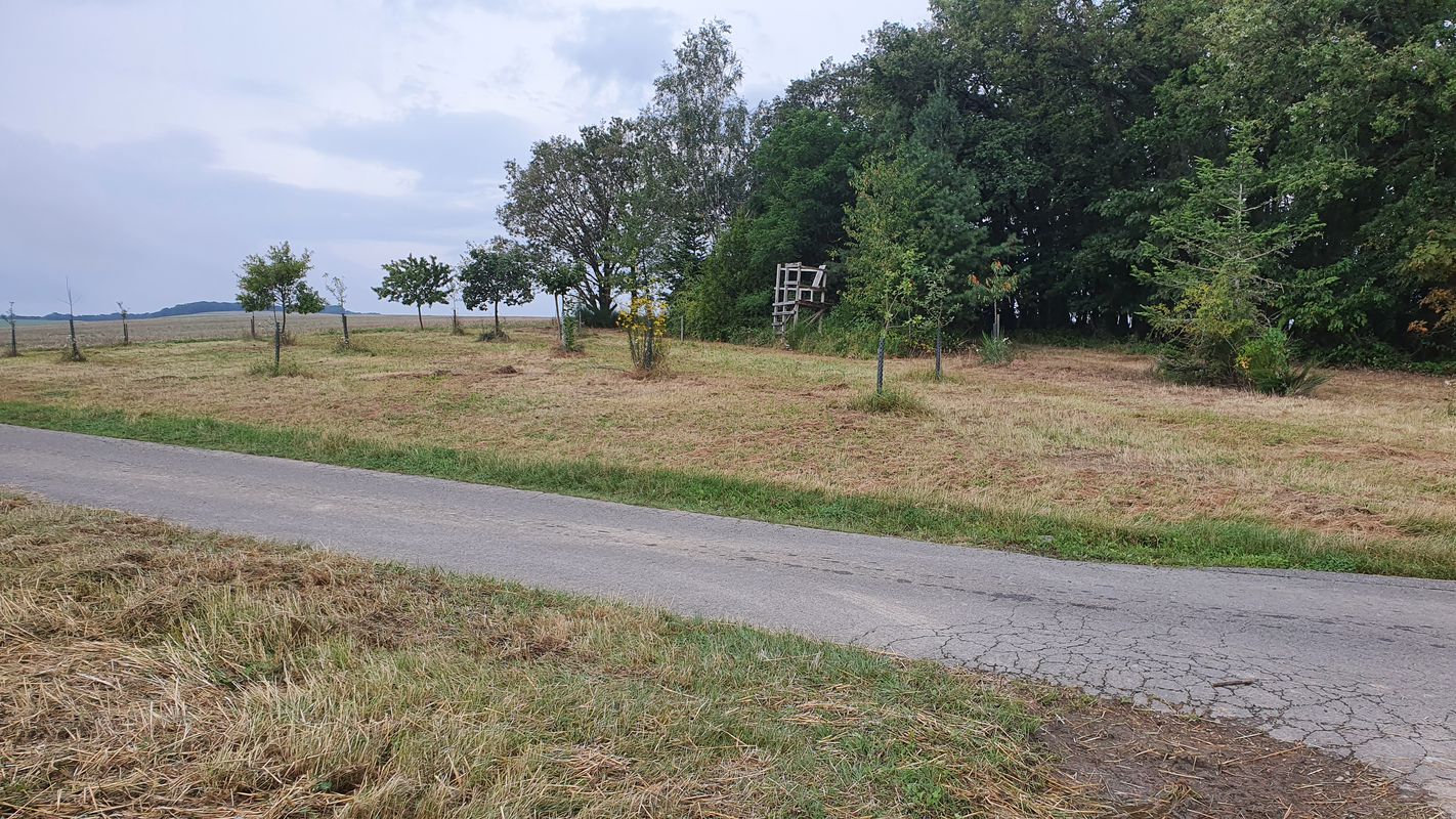 L379 2, Finkenbach-Gersweiler nach L379 2, Finkenbach-Gersweiler