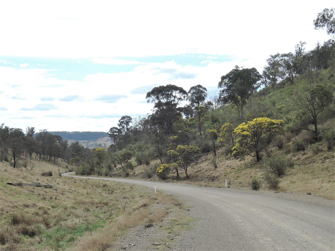 Avoiding the Waterfall Way from Armidale