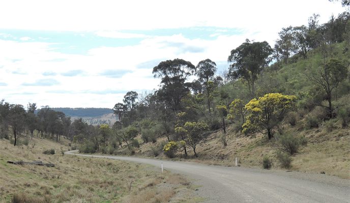 Photo 1 of the Bikemap route "Avoiding the Waterfall Way from Armidale"