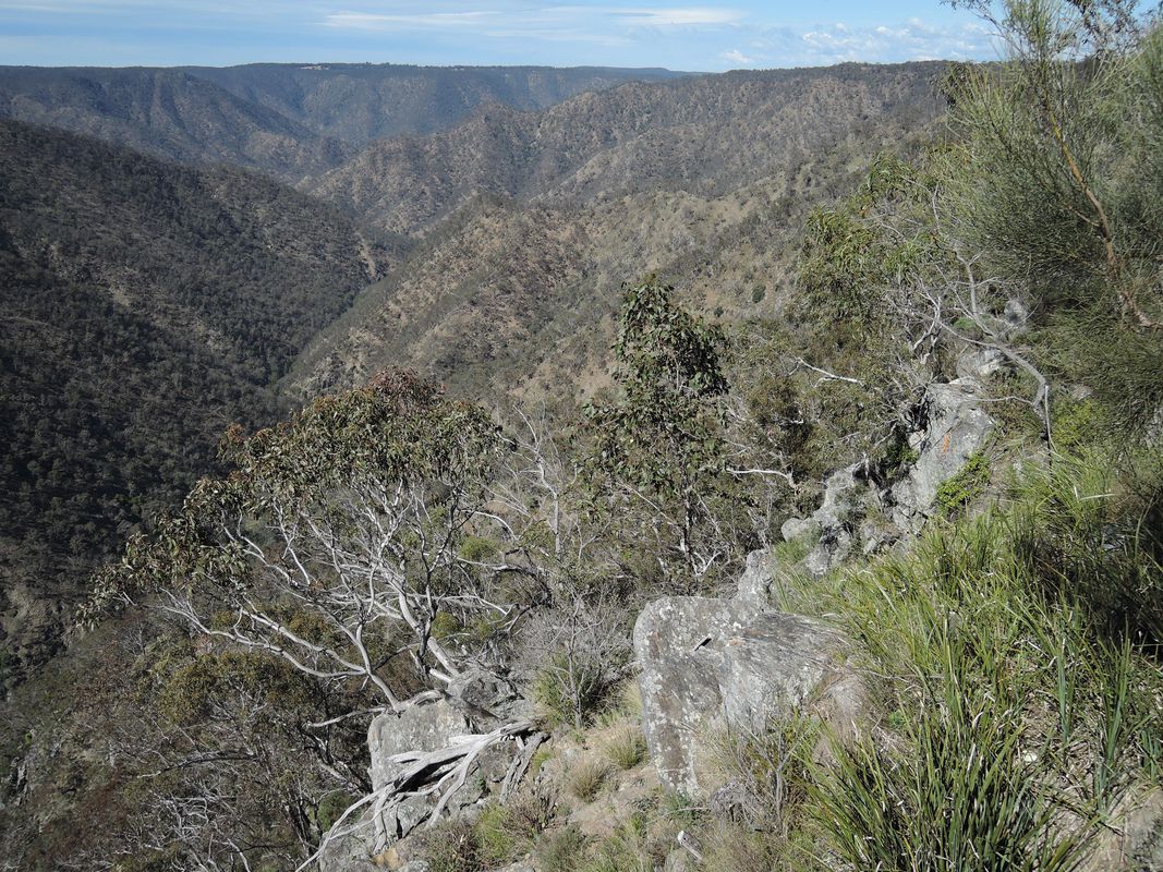 Avoiding the Waterfall Way from Armidale