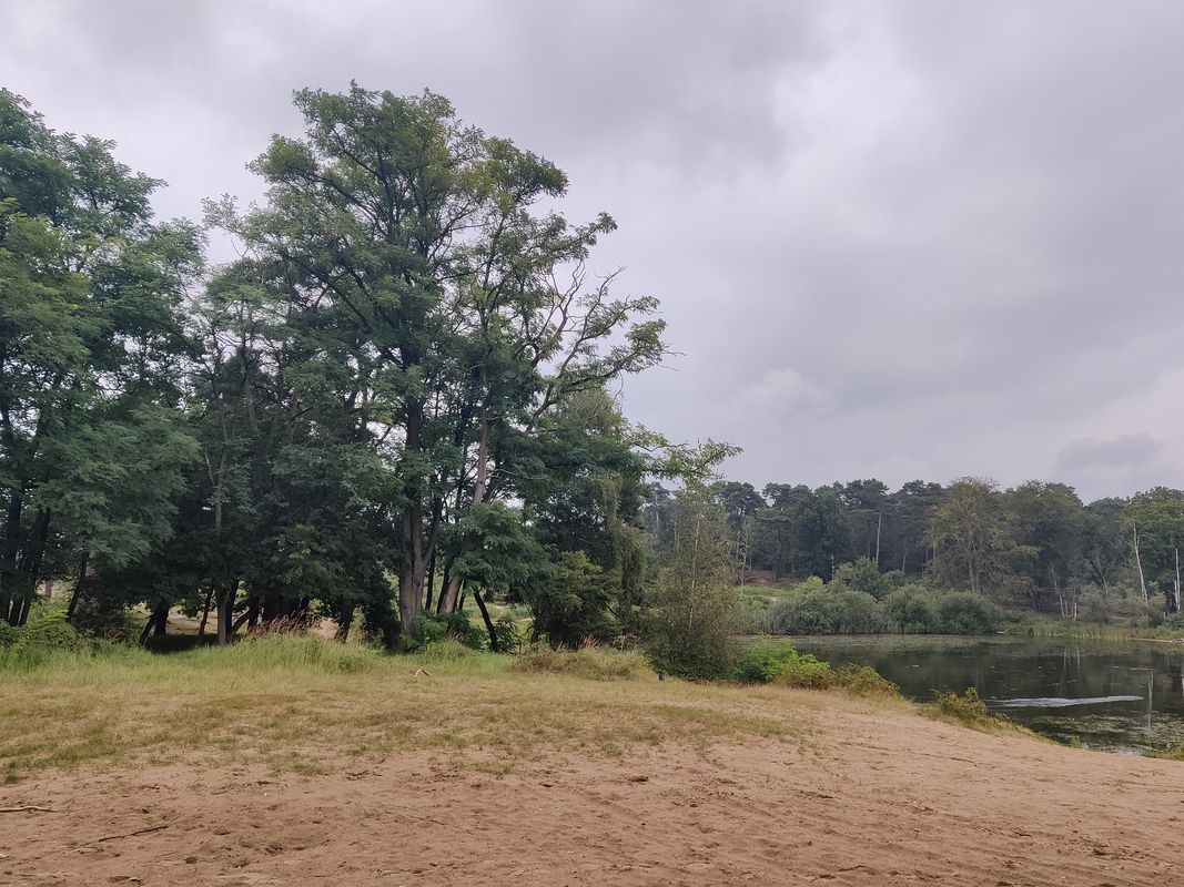 От Pastoor Gillisstraat 148, Rijen до Hoofdstraat 28A, Rijen