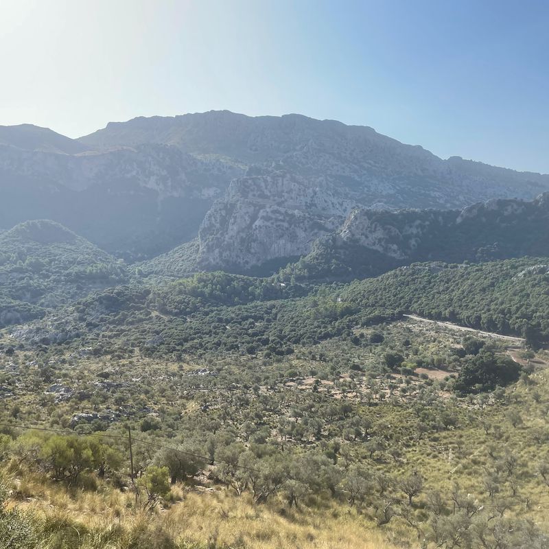 De Ma-2131, Selva a Carretera d'Artà, 30, Alcúdia