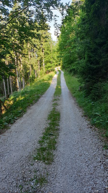 Z Besnice na Prtovč čez Jelovico