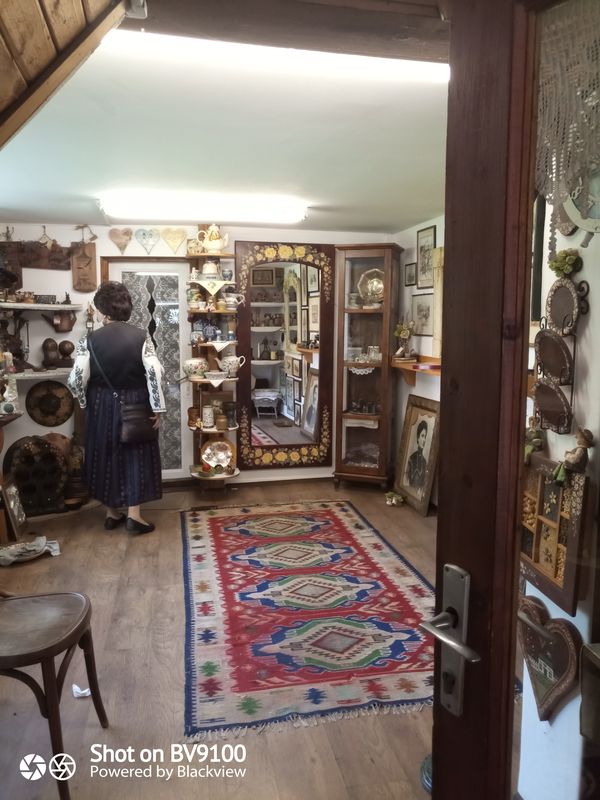 🚴 Câmpina - Sinaia (22 august 2021)