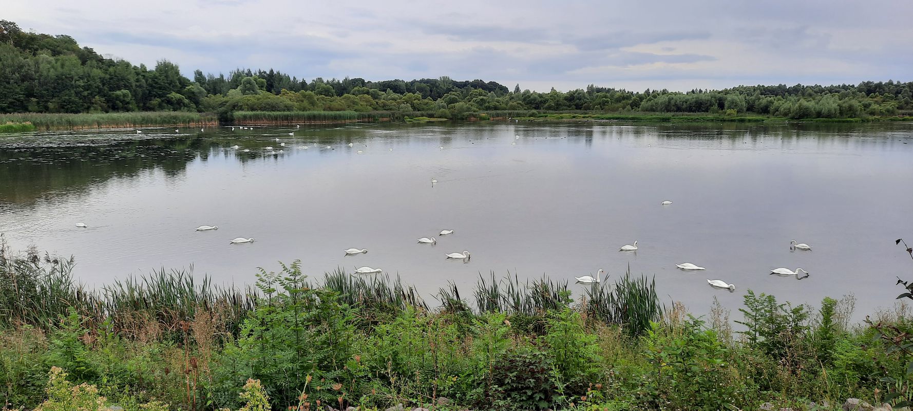 Haselbachsee