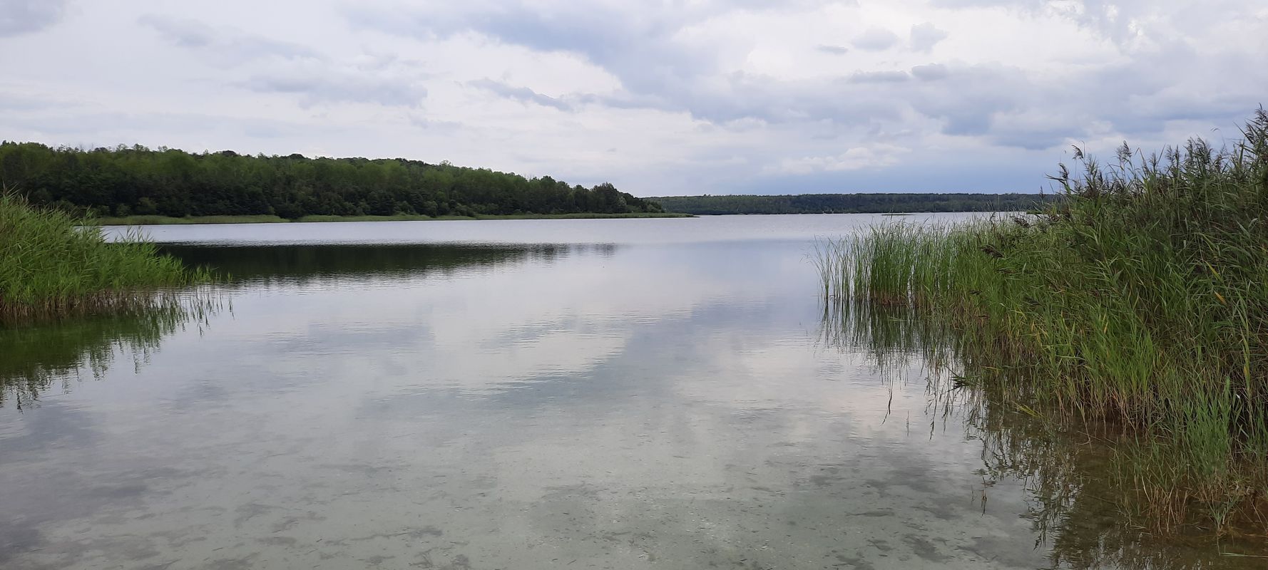 Haselbachsee