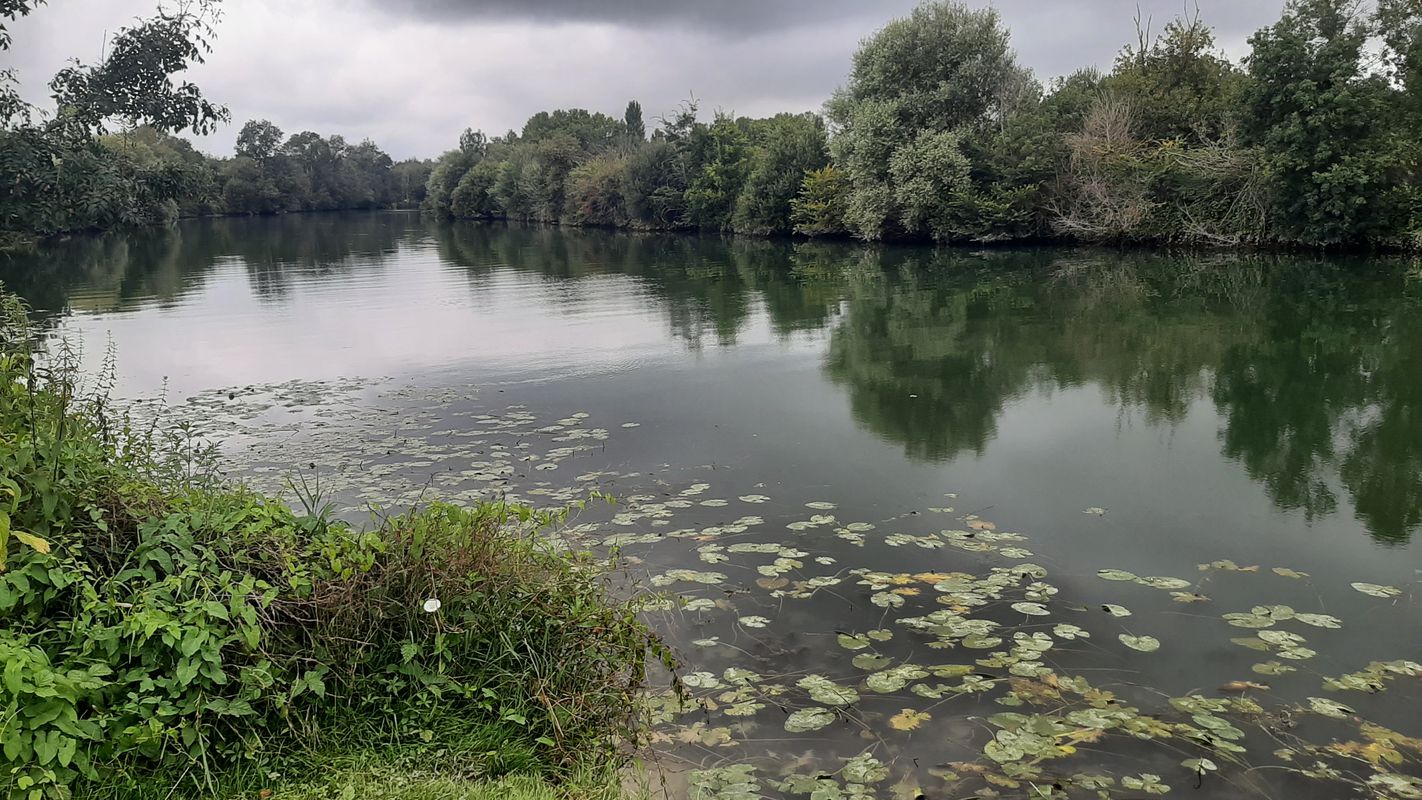 Narcejac (Saintes) à Dompierre-sur-Charente