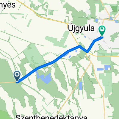 4431, Gyula to Kossuth Lajos tér 2, Gyula
