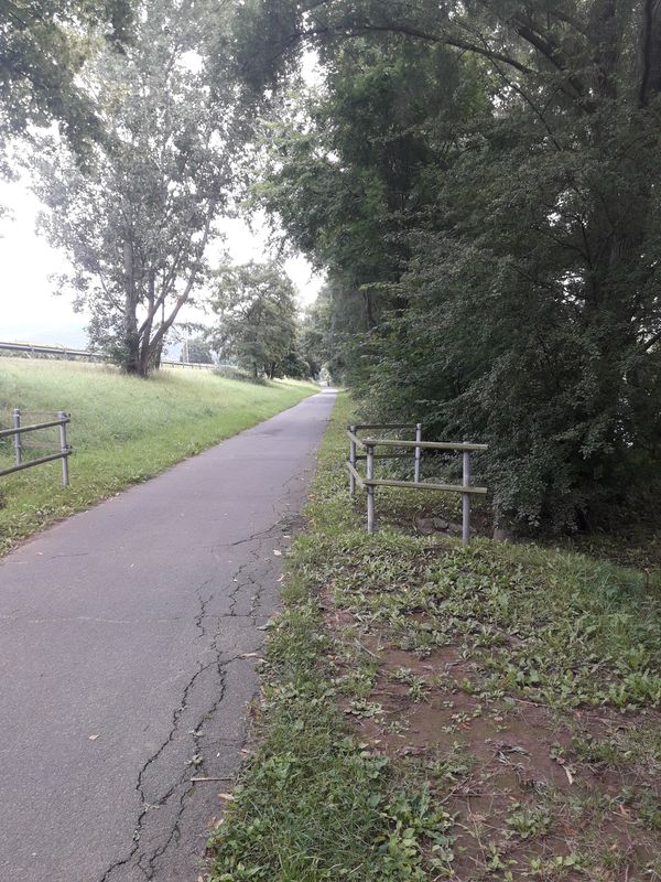 Tour Miltenberg