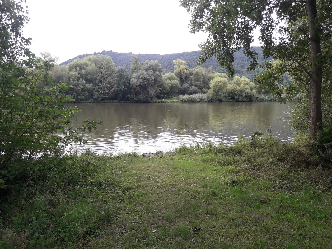 Tour Miltenberg