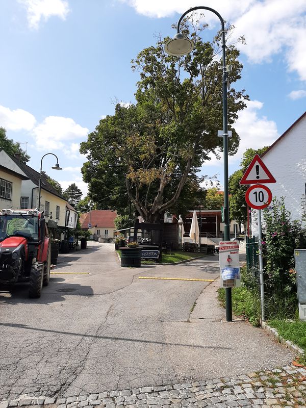 Bahnstraße 30, Mistelbach to Bahnstraße 30, Mistelbach
