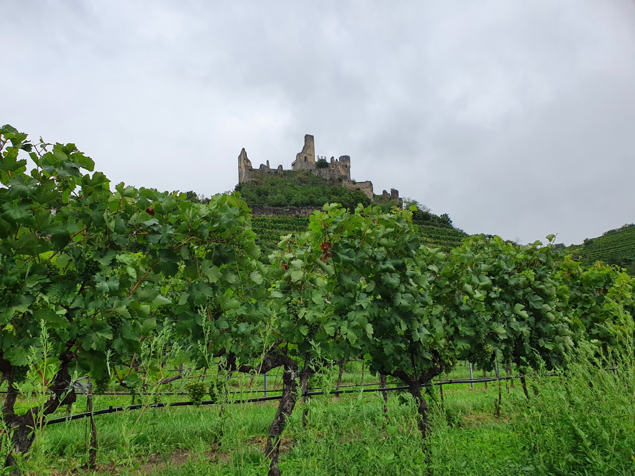 gmünd-krumau-gmünd-krems