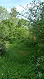 Highlight 3 along the Bikemap route "Radwandertag Raesfeld 2011"