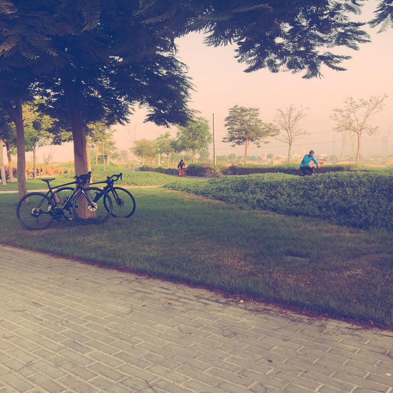 Tecom to meydan
