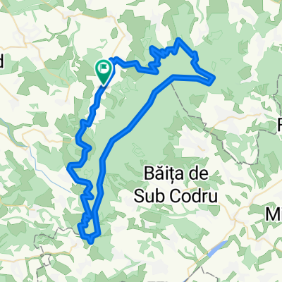 Culmea Codrului